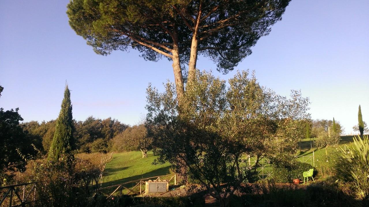 La Montagnola Retreat Hotel Gradoli Buitenkant foto